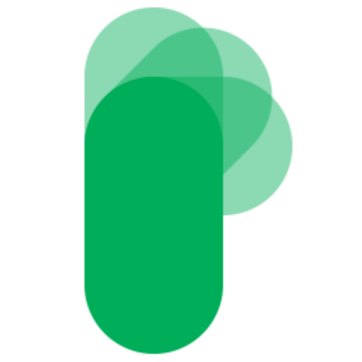 Plassita
